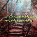 تصویر پروفایل محسن فرنگی